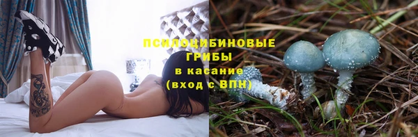 шишки Дмитровск