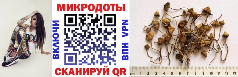 Псилоцибиновые грибы мухоморы  Сысерть 